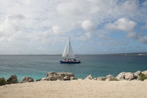 Trip to te amo beach