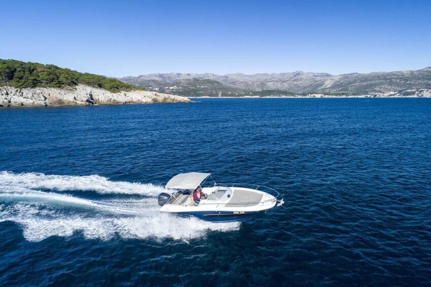 Private Shorex: Dubrovnik, Trsteno and Lokrum with Speedboat