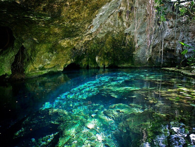 Cenote in the Yucatan