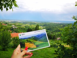 Private Wine Tasting Tour from Zagreb