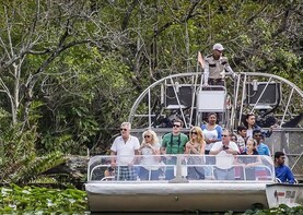 Everglades Tour in Miami