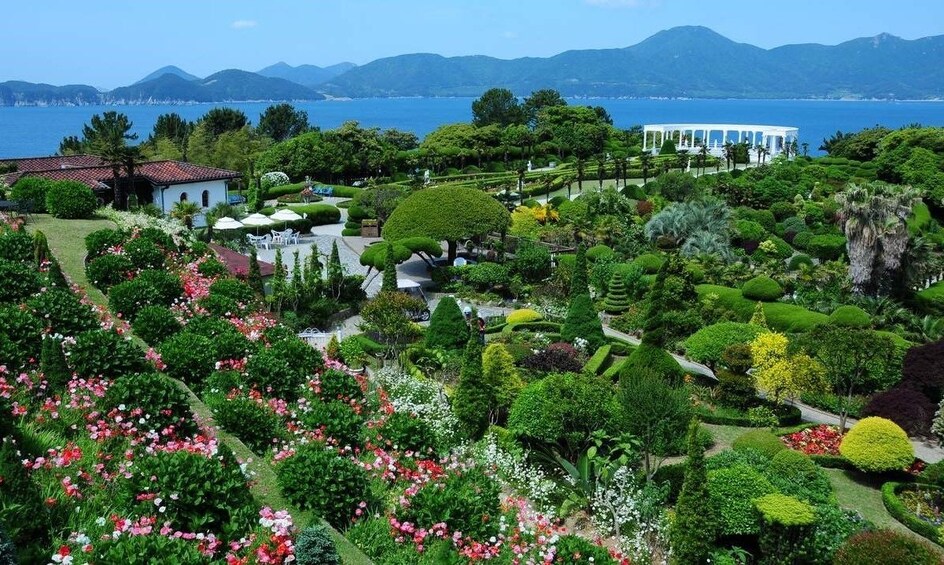 Show item 2 of 5. Special Oedo Island Day Tour from Busan by KTOURSTORY