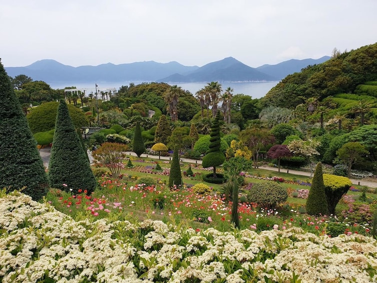 Show item 5 of 5. Beautiful Oedo Island