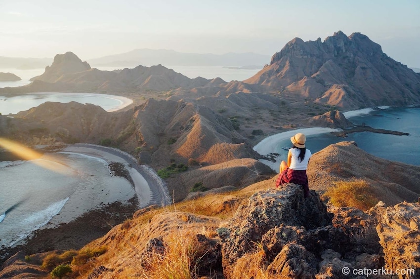 (Open Trip) One Day Komodo Labuan Bajo Tour by Boat