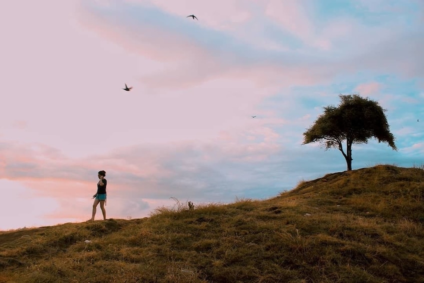 Capture Your Vacation in Komodo Labuan Bajo with Jeomotret