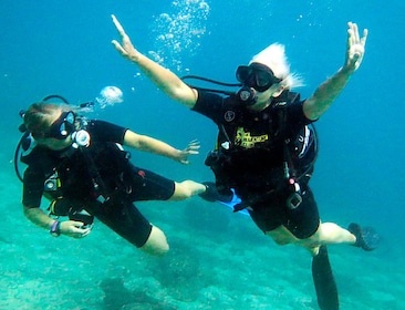 Full Scuba Diving Certification 