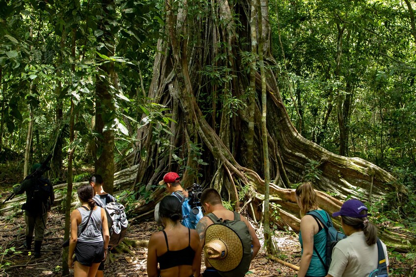 Corcovado National Park (Sirena Station) Full-Day Adventure