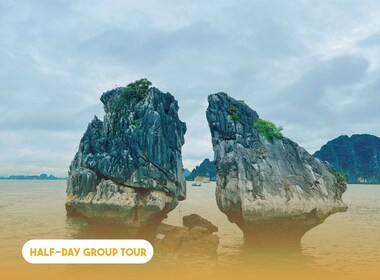 Halve dag Ha Long Bay droomcruise
