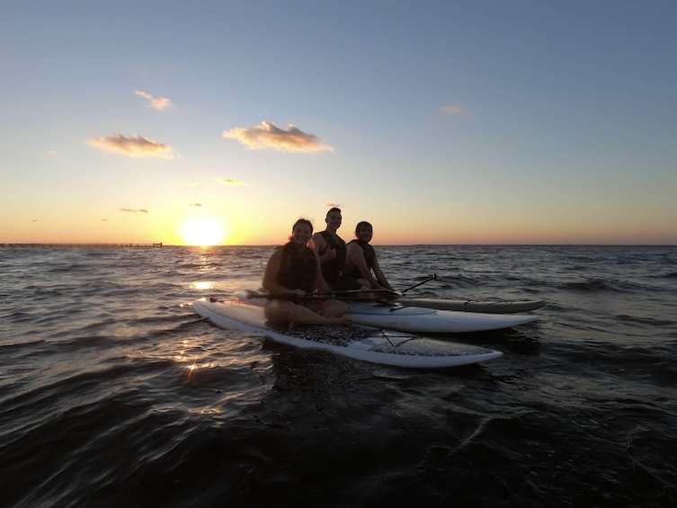 Show item 1 of 1. 2 Hour Guided Paddle Board Tour - Joeâs Bayou
