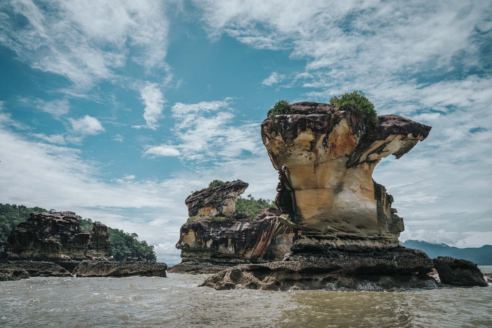 Sarawak Bako National Park Tour with Sea Stack