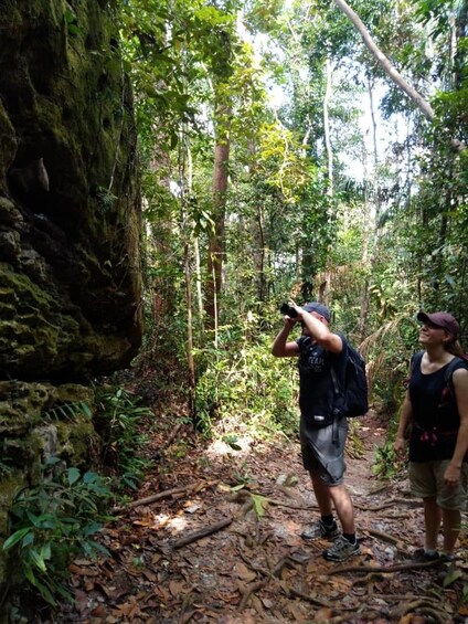 Show item 4 of 10. Sarawak Bako National Park Tour with Sea Stack