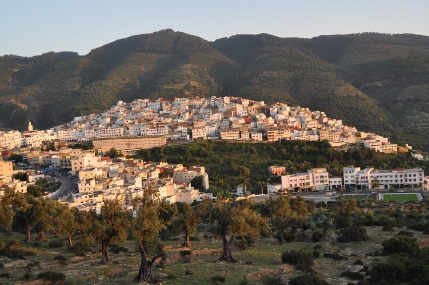 Day Excursion to Meknes, Volubilis and Moulay Idriss 