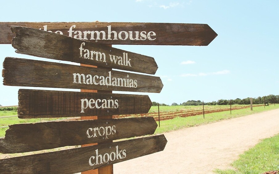 Show item 3 of 5. Byron Bay FULL Day Tour with The Farm and Lighthouse