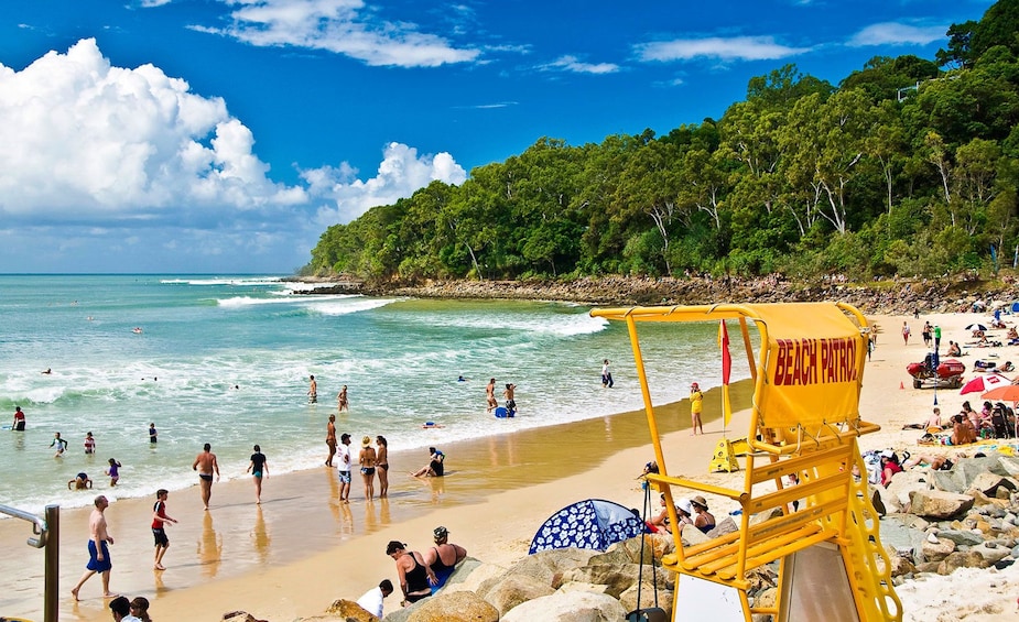 Show item 5 of 5. Byron Bay FULL Day Tour with The Farm and Lighthouse