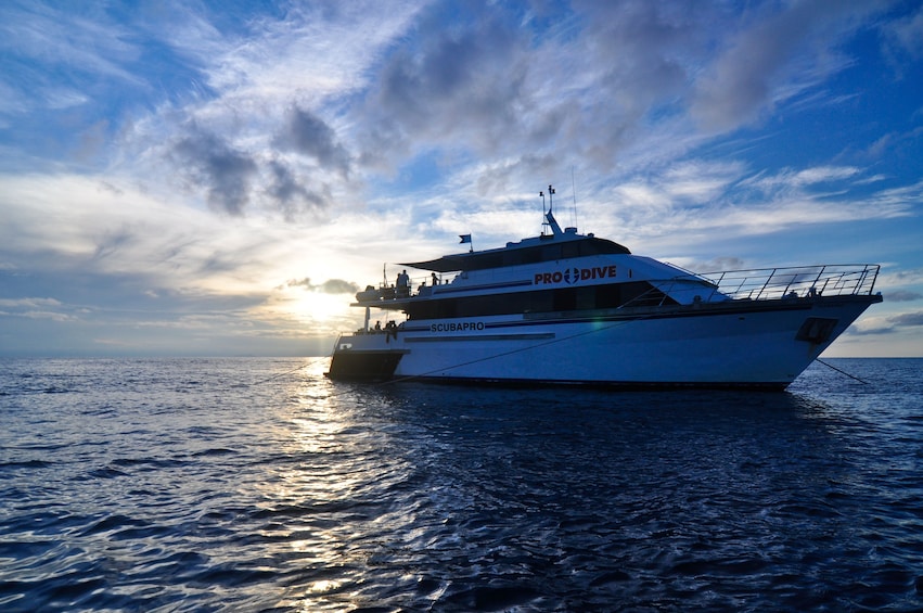 3 Day 2 Night Liveaboard Trip - Snorkeller
