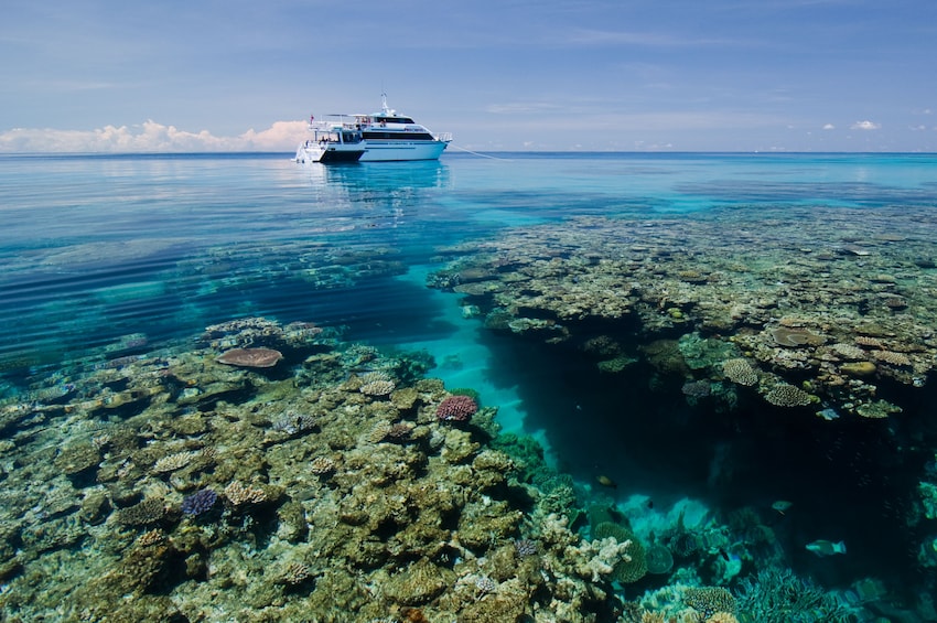 3 Day 2 Night Liveaboard Trip - Snorkeller