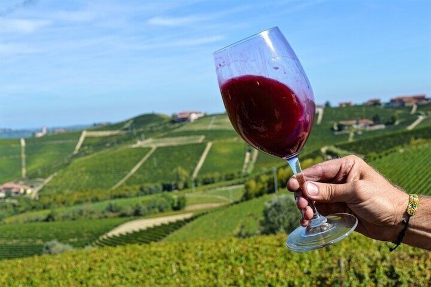 Piemonte Vineyards by Yourself from Turin by Luxury Van with English Chauffeur