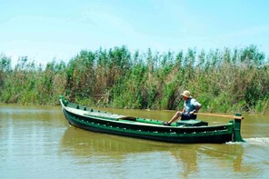 Valencia + Albufera Lagoon Tour - Blessed with abundance