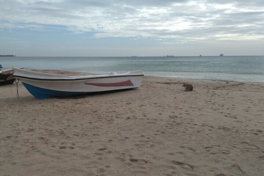 Trincomalee Day Tour From Kandy