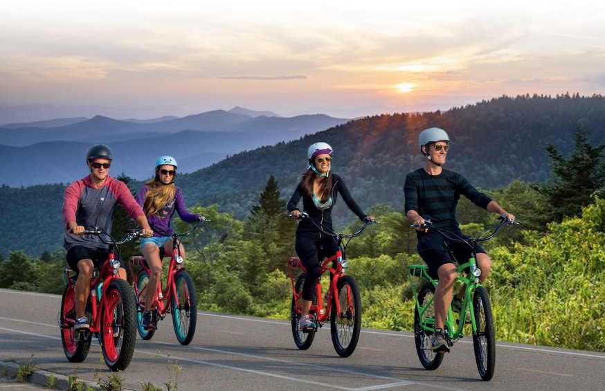 Four mountain bike riders 