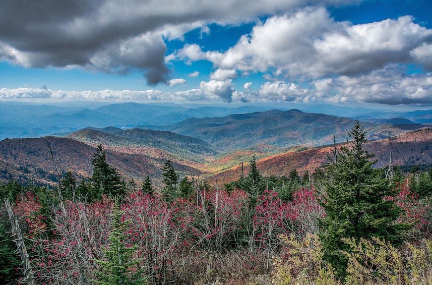 Great Smoky Mountains