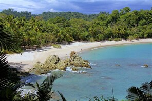 Combo tour: 2 in 1 Manuel Antonio National Park + Catamaran