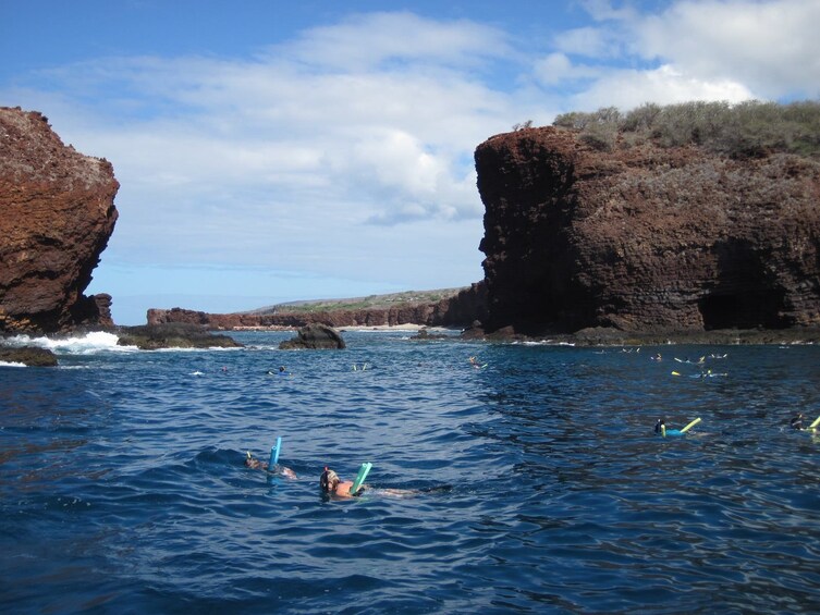Lanai Dolphin Adventure