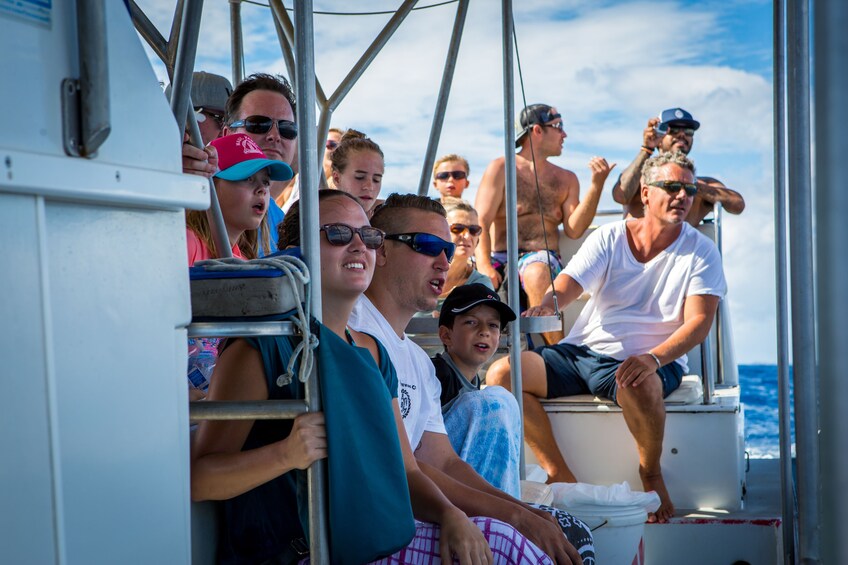Show item 4 of 10. Lanai Dolphin Adventure