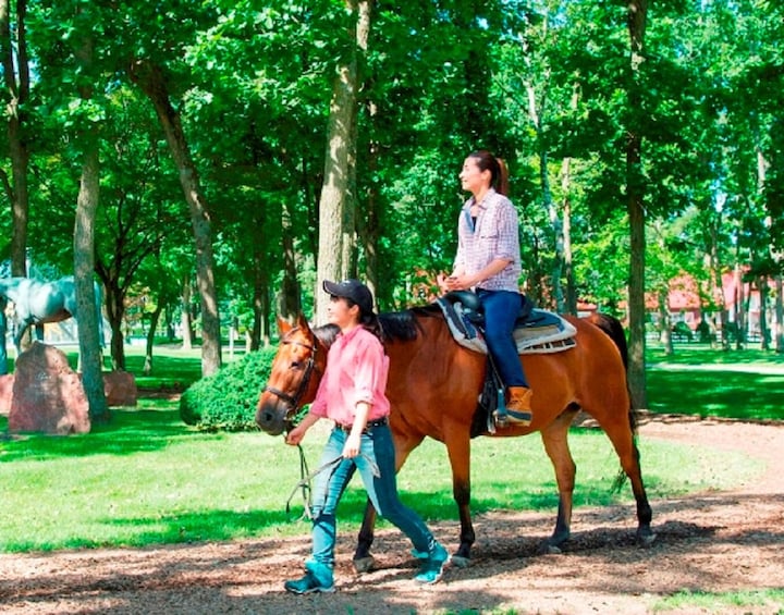 Show item 4 of 10. Horseback ride in Hokkaido