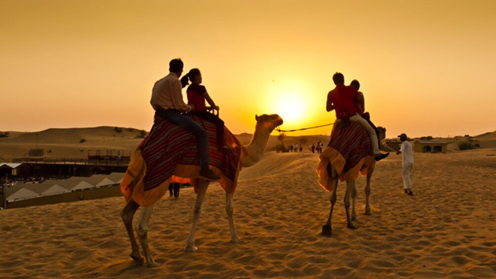Self-drive Quad Bike, Sand Boarding,Camel Ride at Royal Camp