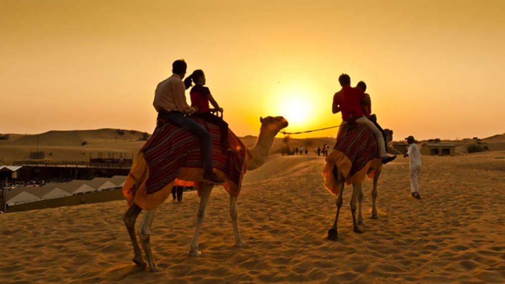 Self-drive Quad Bike, Sand Boarding,Camel Ride at Royal Camp