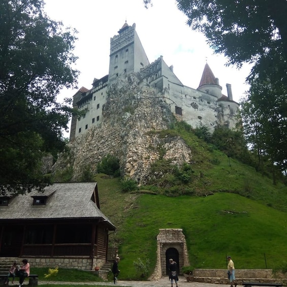 Dracula& Peles Castle and Brasov City in One Day Tour