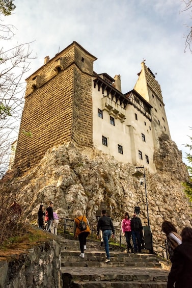 Dracula& Peles Castle and Brasov City in One Day Tour