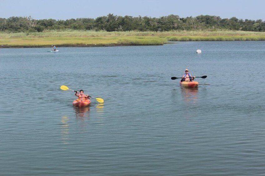 Single Kayak Rental