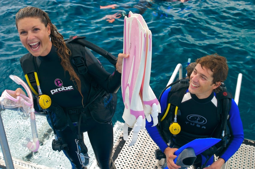 Silversonic Dive & Snorkel Adventure