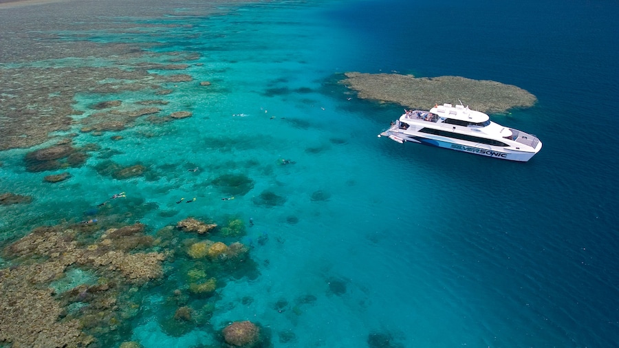 Silversonic Dive & Snorkel Adventure