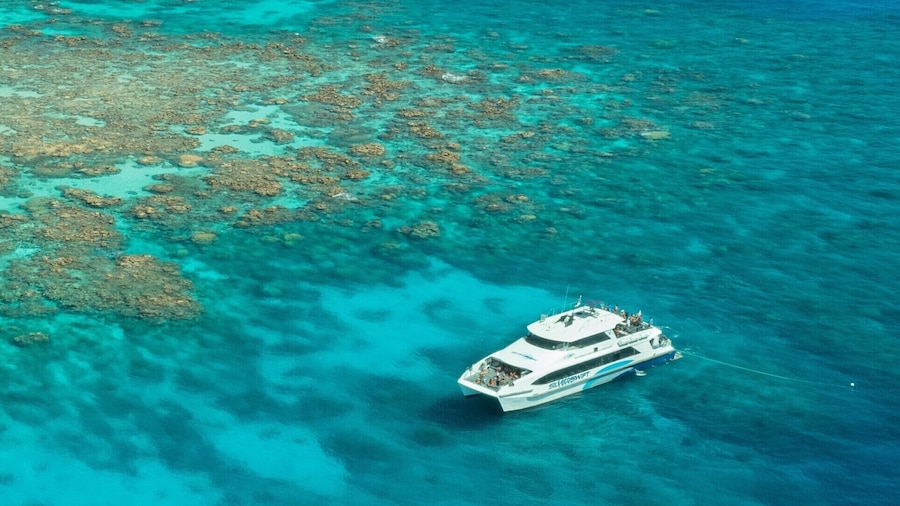 Silverswift Dive & Snorkel Adventure
