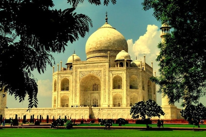 Agra Tour With Taj Mahal and Agra Fort From Delhi