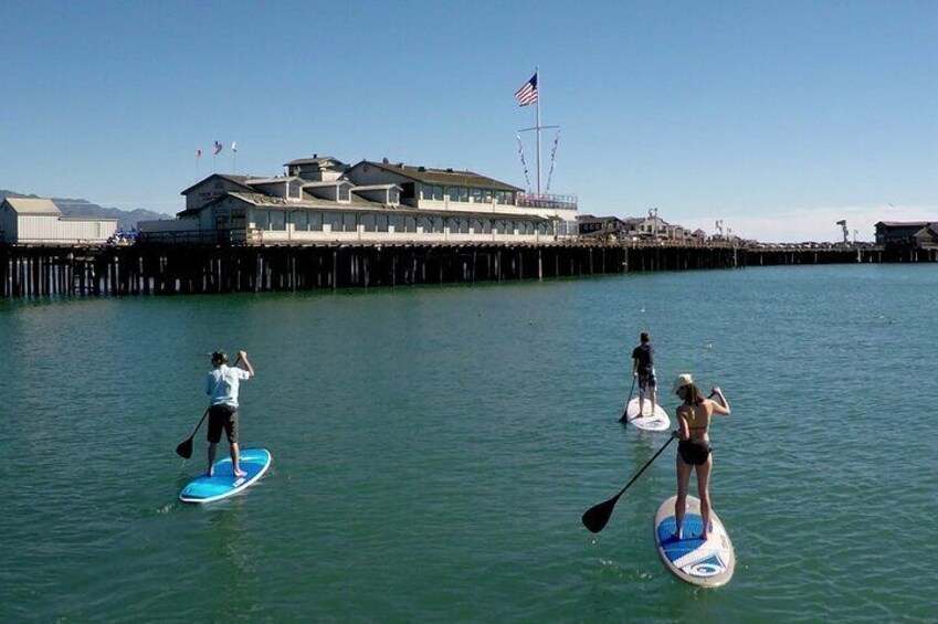 Santa Barbara Kayak or Stand Up Paddle Rental