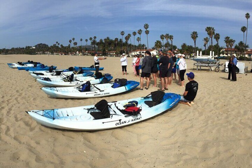 Santa Barbara Kayak or Stand Up Paddle Rental