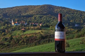 Wine tasting around Zagreb private tour