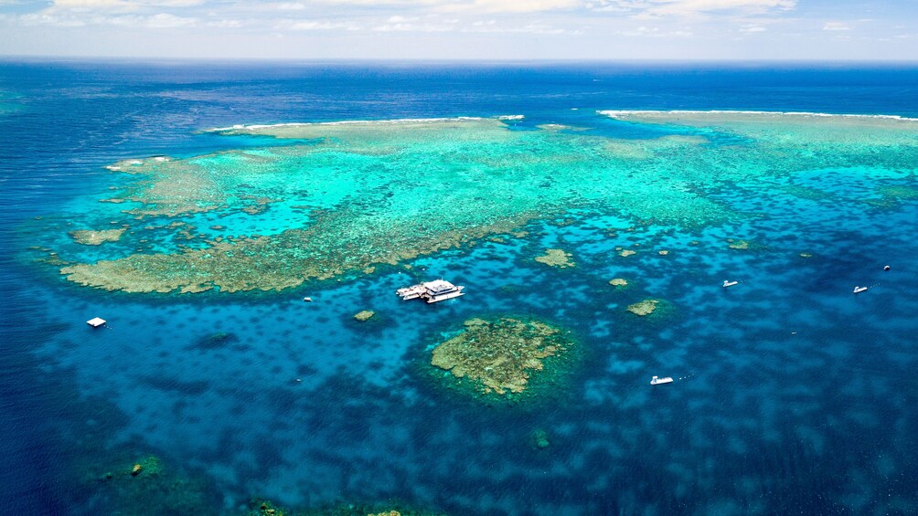 Quicksilver Great Barrier Reef Agincourt Reef Cruise