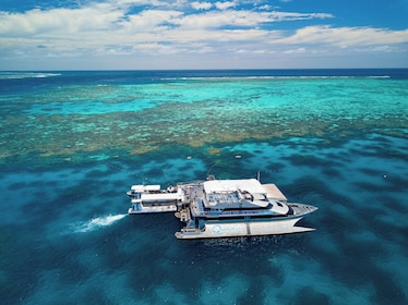 ล่องเรือ Quicksilver Great Barrier Reef แนวปะการัง Agincourt