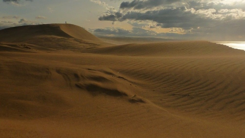 Show item 1 of 2. Tottori Sand Dune&Sanâin Kaigan Geopark