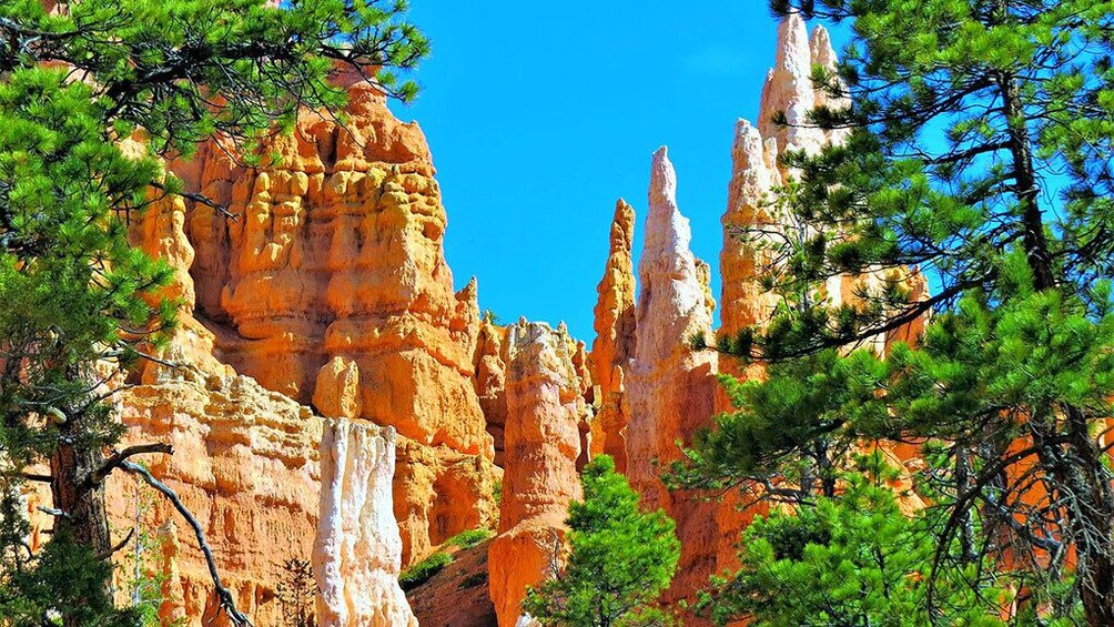 Zion and Bryce Canyon National Parks Bus Tour From Las Vegas