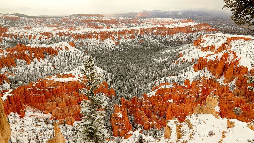 Zion and Bryce Canyon National Parks Bus Tour From Las Vegas