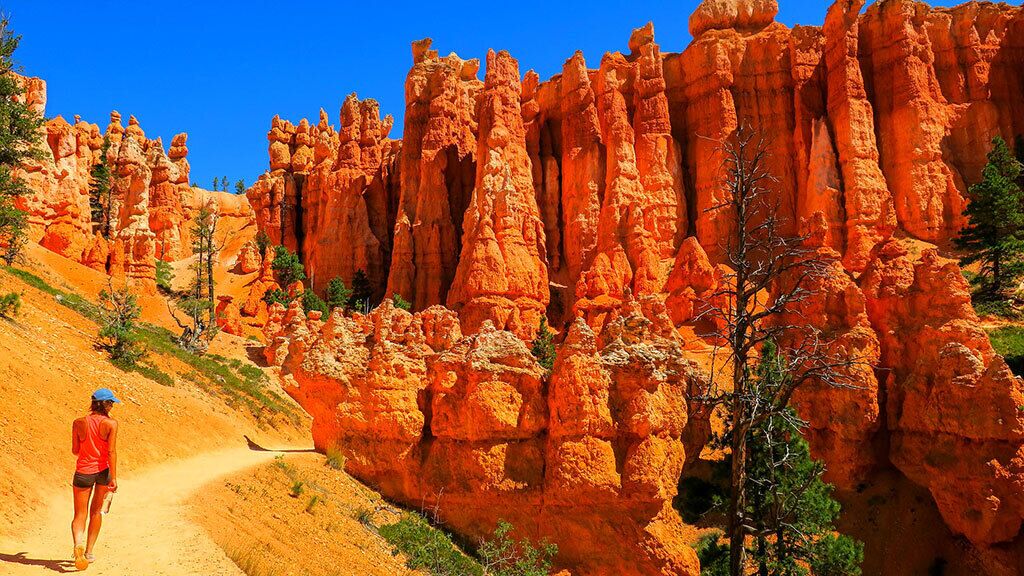 3 day tour from las vegas to zion national park