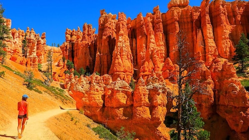 Bryce & Zion National Parks Tour from Las Vegas with Lunch