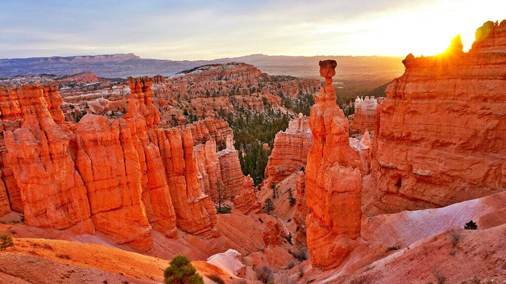 Zion and Bryce Canyon National Parks Bus Tour From Las Vegas