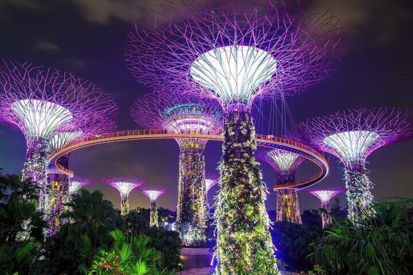 Singapore Gardens by the Bay Tours with Transfer 
